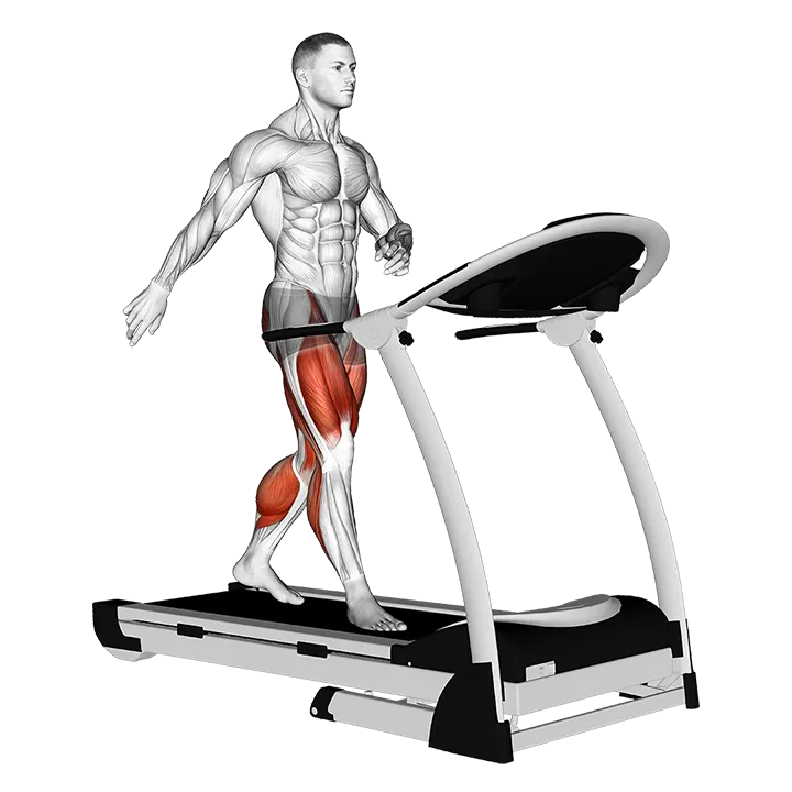 Walking on Treadmill exercise animation (Male)