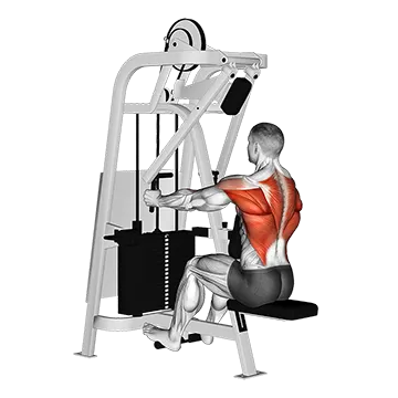 Lever Seated Row (version 2)