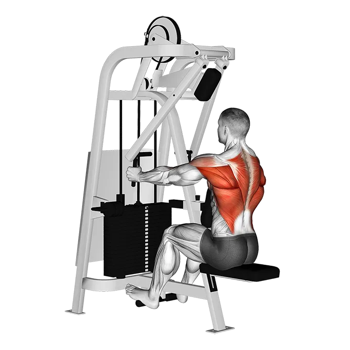 Lever Seated Row (version 2) exercise animation (Männlich)