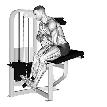 Lever Back Extension (version 2)