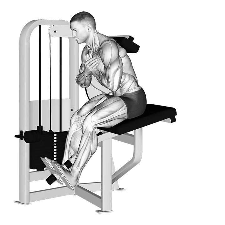 Lever Back Extension (version 2) exercise animation (Male)
