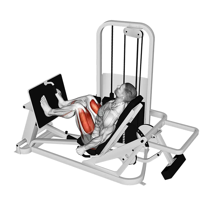 Lever Seated Leg Press exercise animation (Männlich)