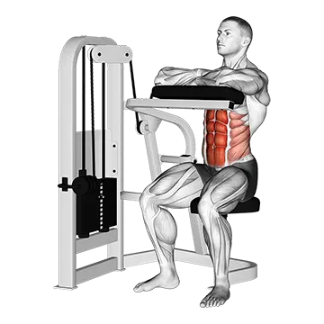 Lever Seated Crunch (hands pad)