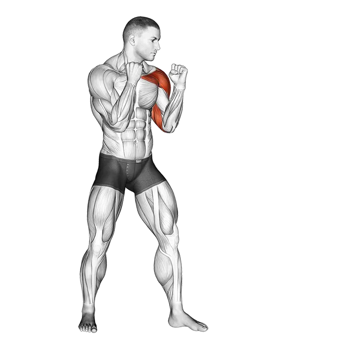 Jab. Boxing exercise animation (Male)