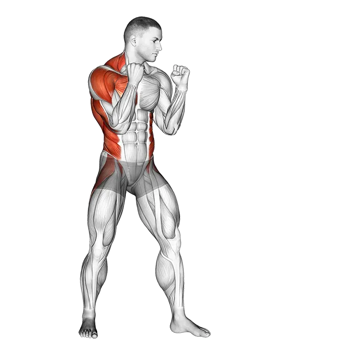 Right Cross. Boxing exercise animation (Male)