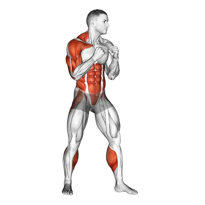 Right Uppercut. Boxing exercise animation (Male)