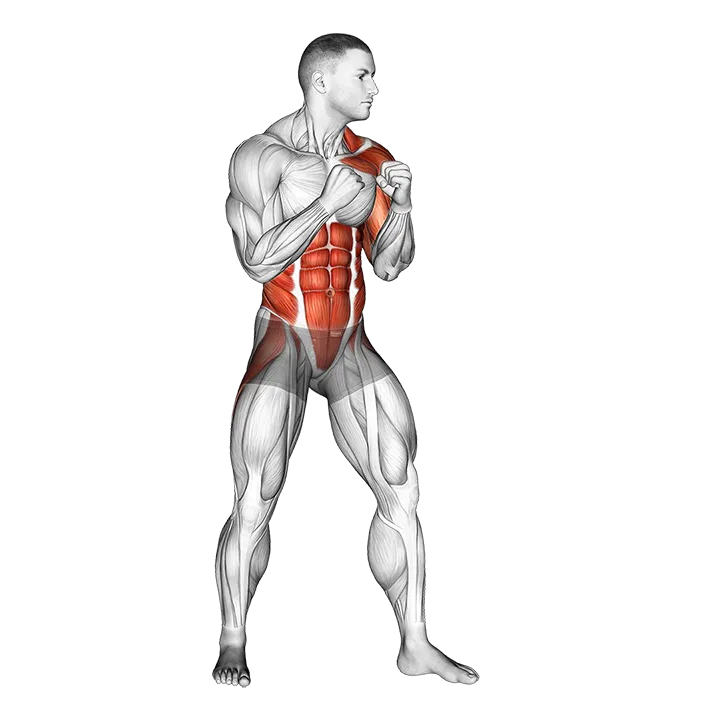Left Uppercut. Boxing exercise animation (Male)