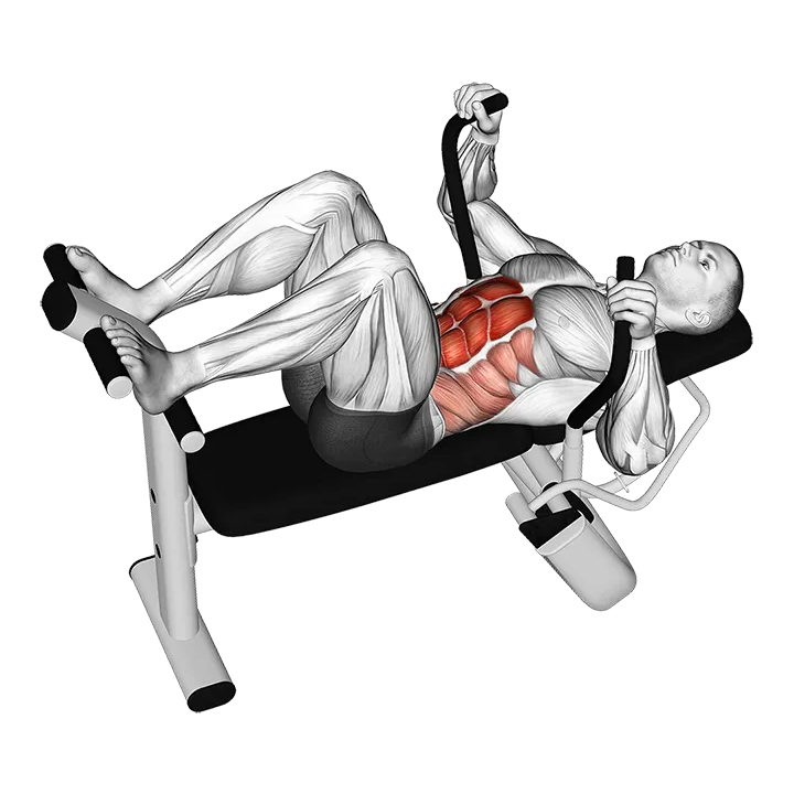 Lever Lying Crunch exercise animation (Male)