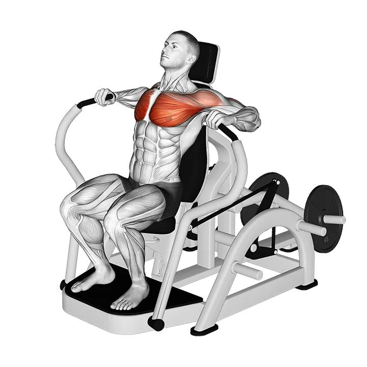 Lever Chest Press (VERSION 4) exercise animation (Female)