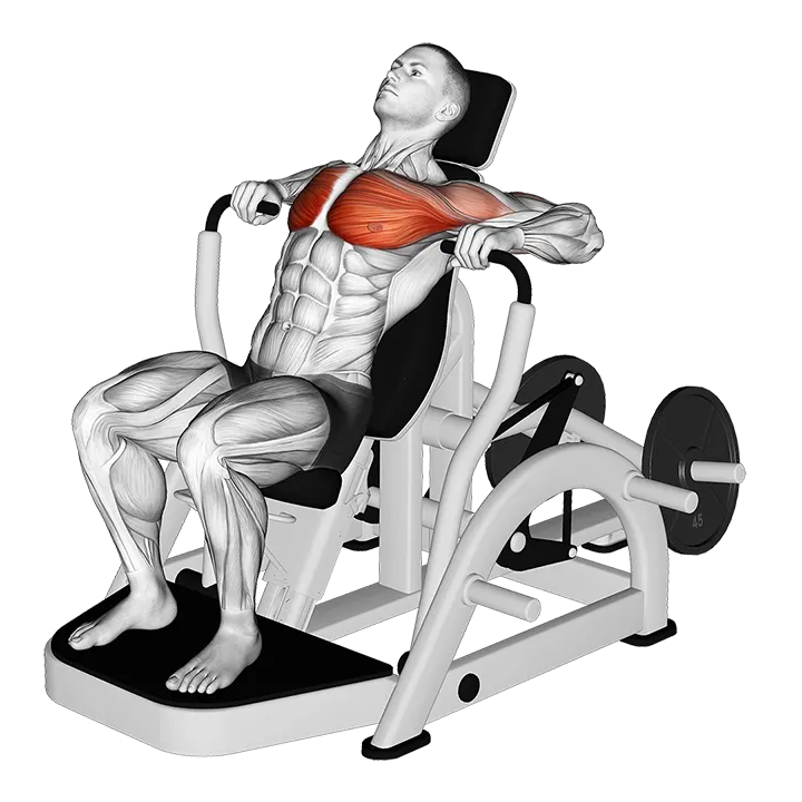 Lever Decline Chest Press (Version 2) exercise animation (Male)