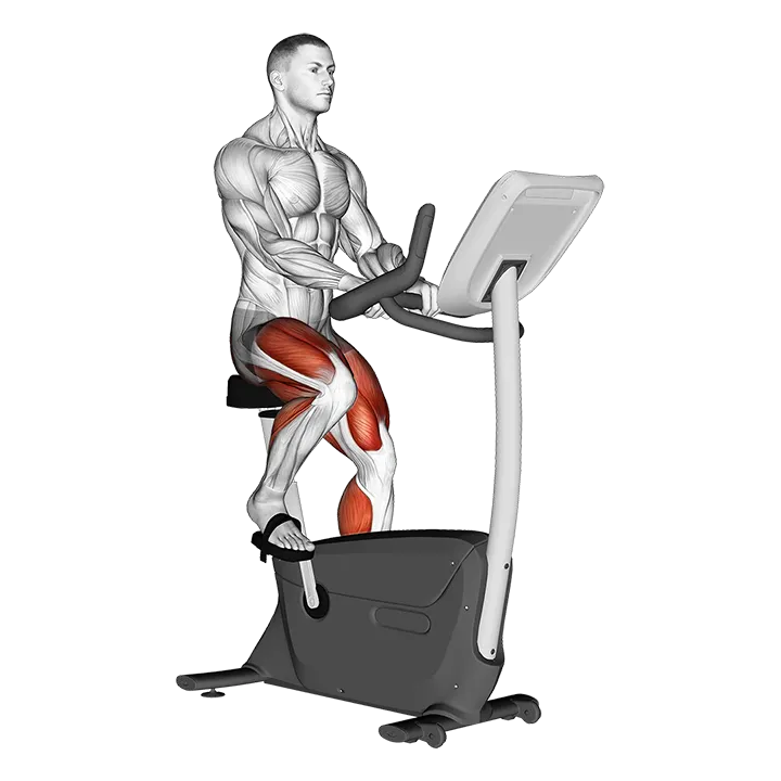 Stationary Bike Run (version 4) exercise animation (Male)