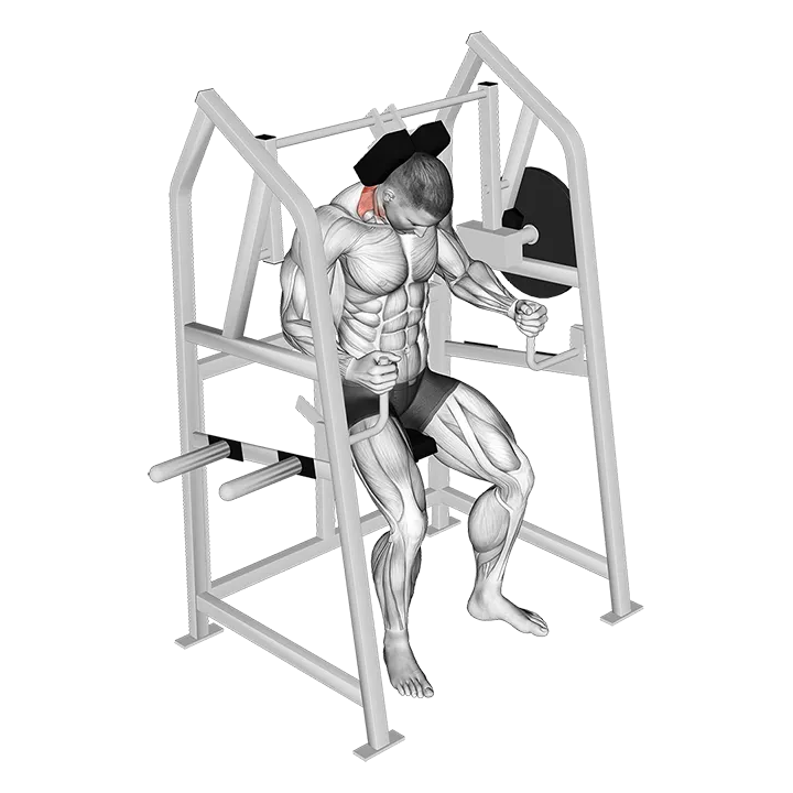 Lever Neck Extension (plate loaded) exercise animation (Male)