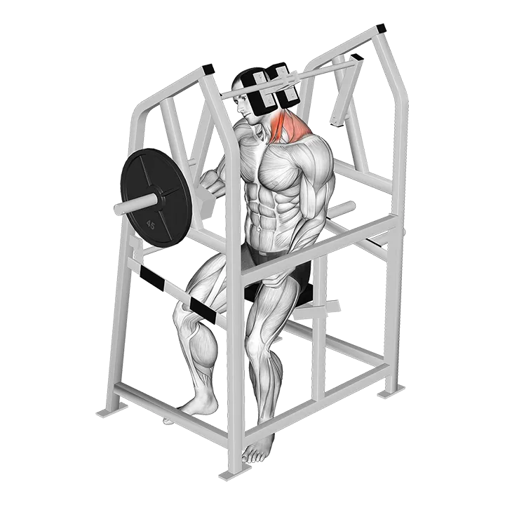 Lever Neck Left Side Flexion (plate loaded) exercise animation (Male)