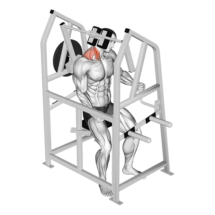 Lever Neck Right Side Flexion (plate loaded) exercise animation (Male)