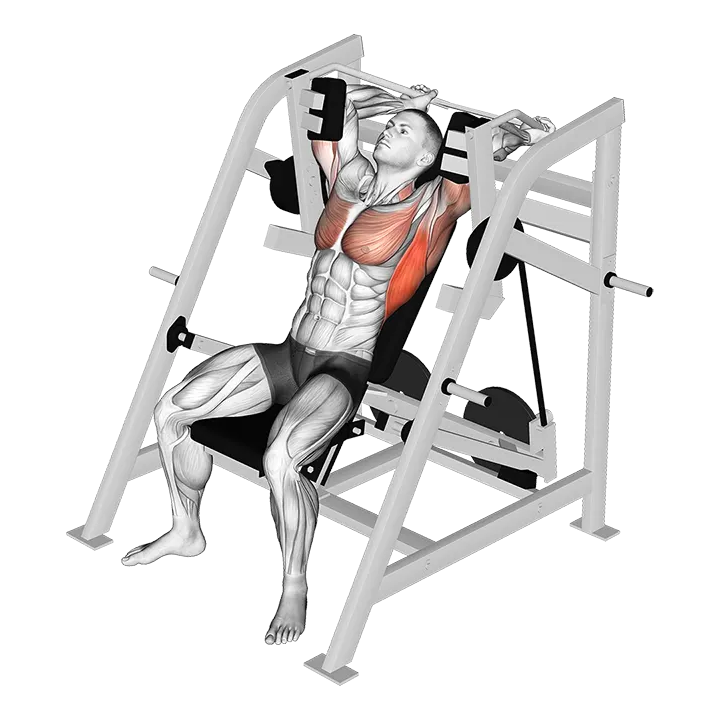 Lever Pullover (plate loaded) exercise animation (Male)