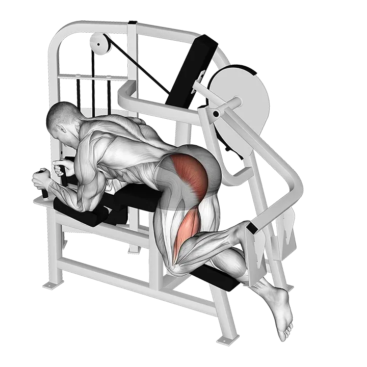 Lever Hip Extension (VERSION 2) exercise animation (Male)