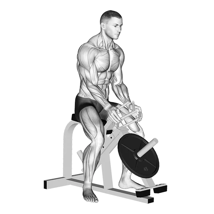 Lever Gripper Hands (plate loaded) exercise animation (Male)