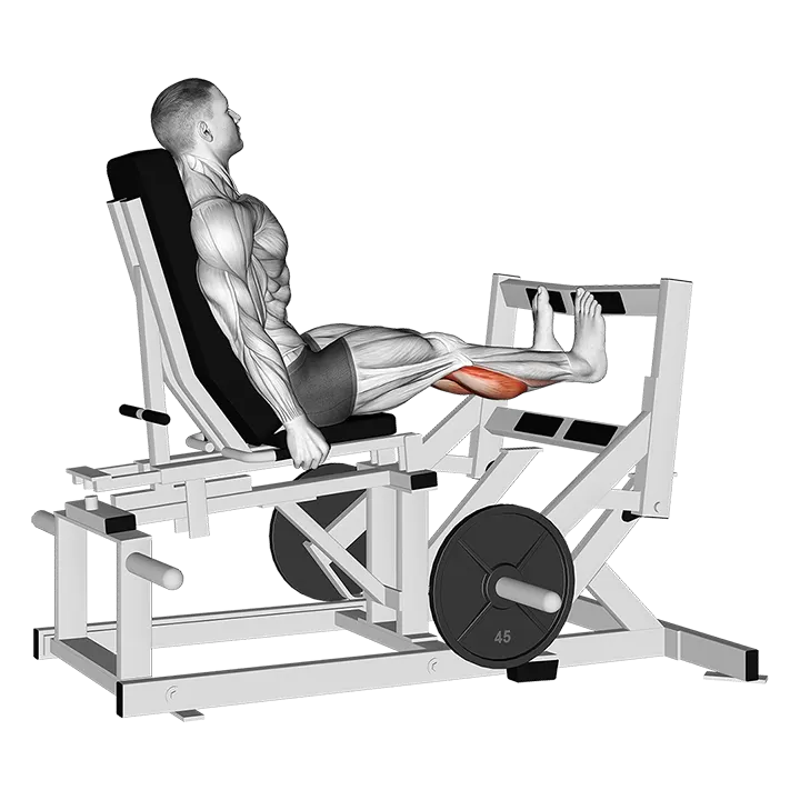 Lever Calf Press (plate loaded) exercise animation (Male)
