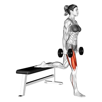 Dumbbell Bulgarian Split Squat