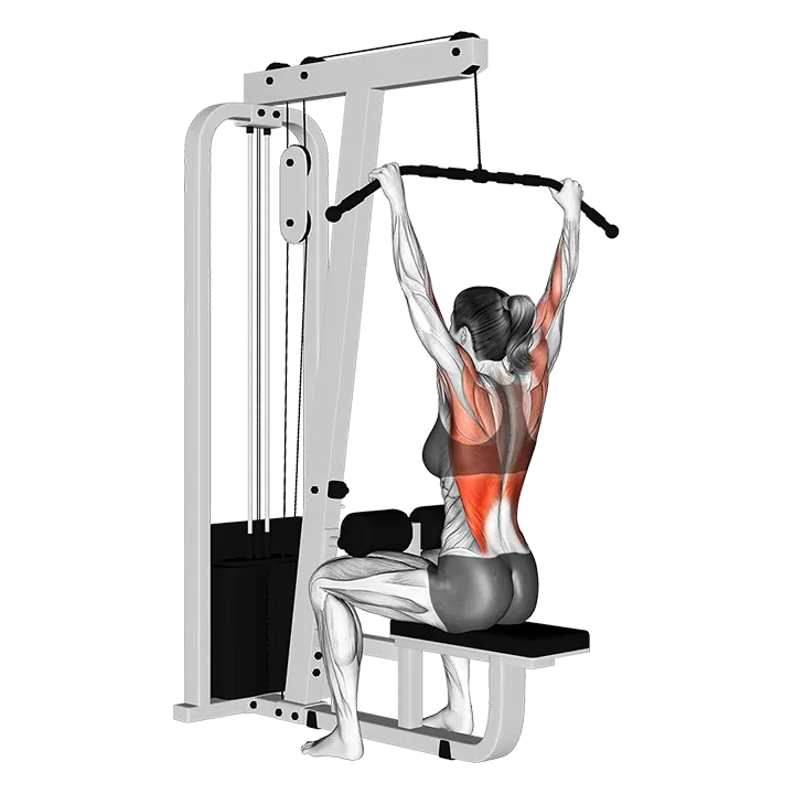 Cable Wide-Grip Lat Pulldown exercise animation (Weiblich)