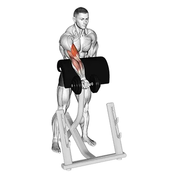 Dumbbell Standing Zottman Preacher Curl