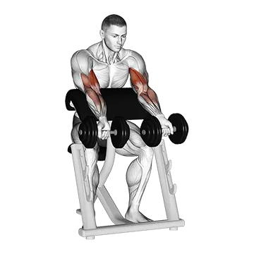 Dumbbell Zottman Preacher Curl