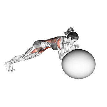 Stability Ball Rollout