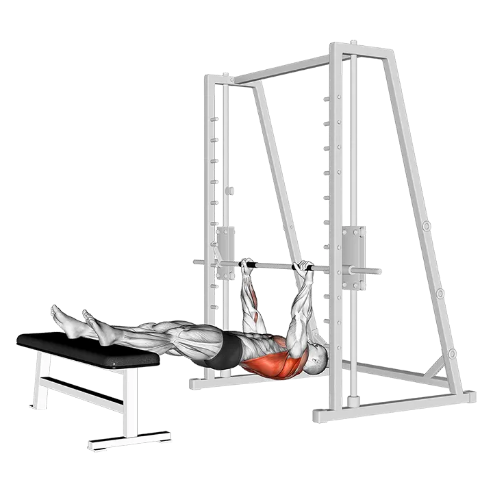 Inverted Row on Bench exercise animation (Male)
