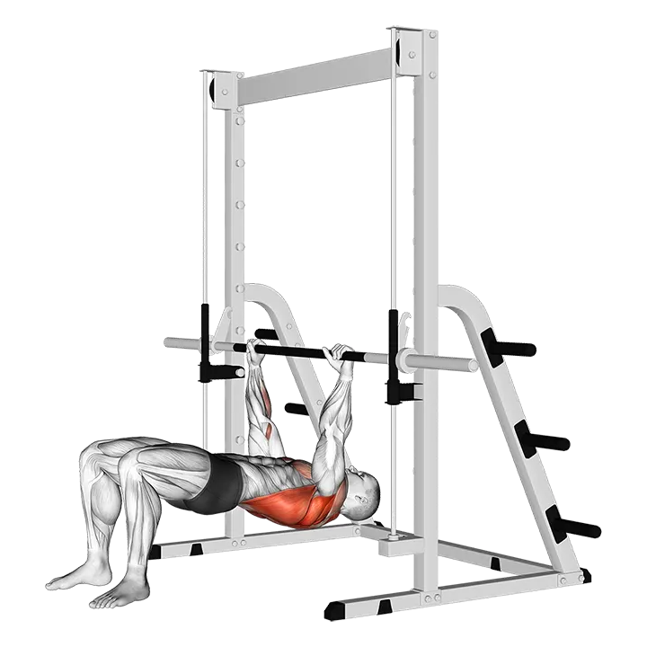 Inverted Row Bent Knees exercise animation (Male)