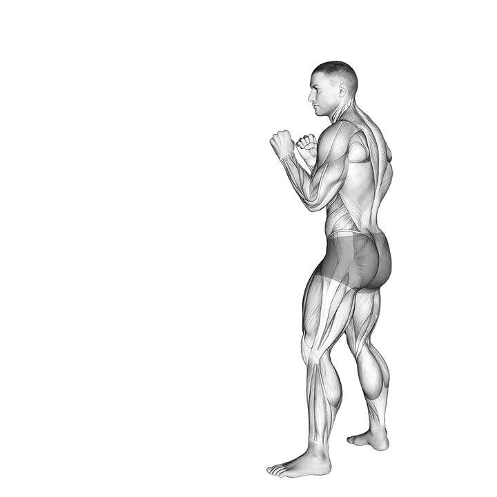 Front Groin Kick. Kickboxing exercise animation (Male)