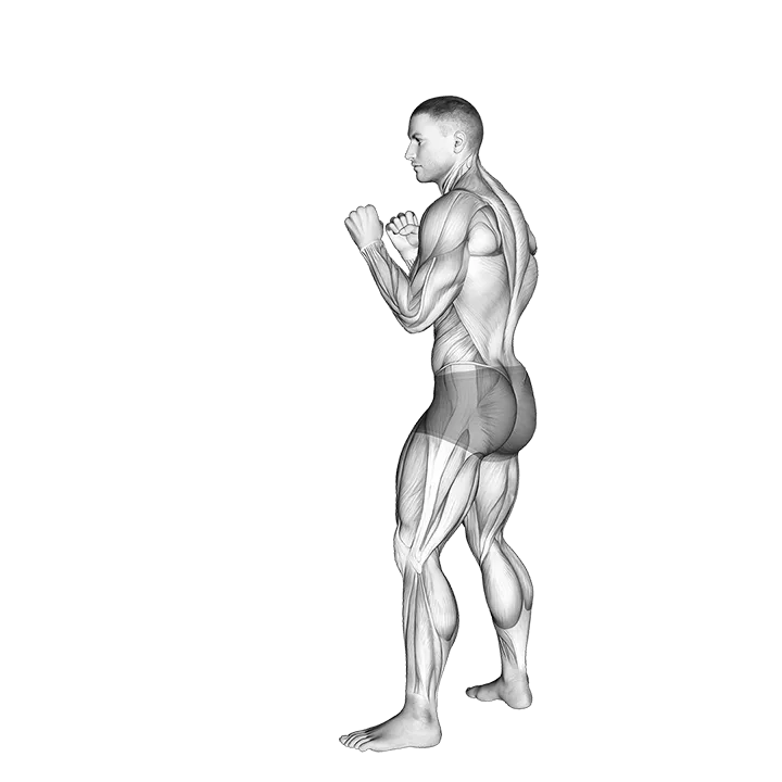 Front Snap Kick. Kickboxing exercise animation (Male)
