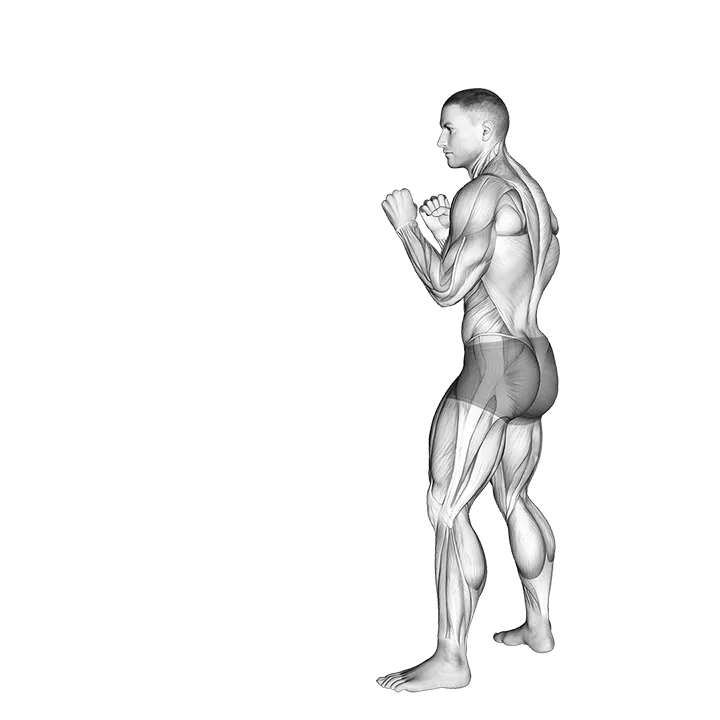 Heel Push Kick. Kickboxing exercise animation (Male)