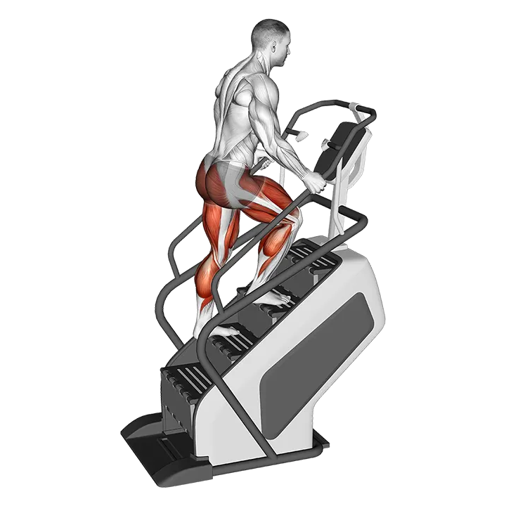Walking on Stepmill exercise animation (Male)