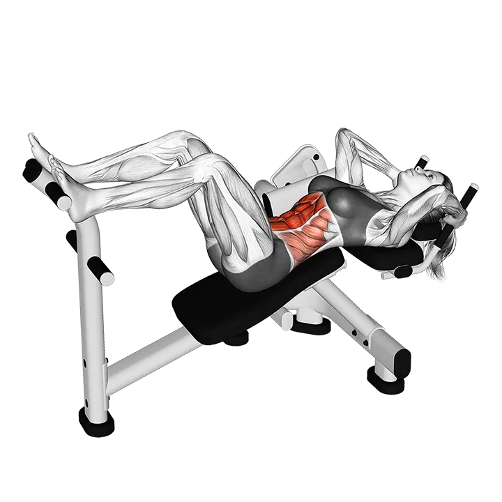 Lever Lying Crunch (VERSION 2) exercise animation (Weiblich)