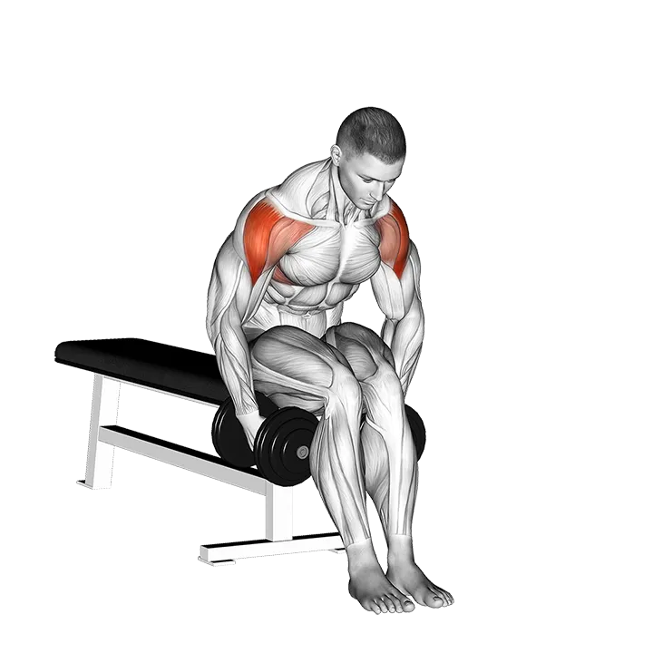 Dumbbell Seated Bent Arm Lateral raise exercise animation (Hombre)