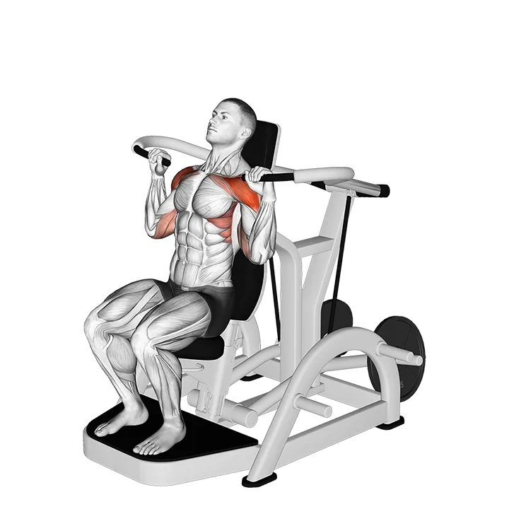 Lever Shoulder Press (plate loaded) (version 3) exercise animation (Male)