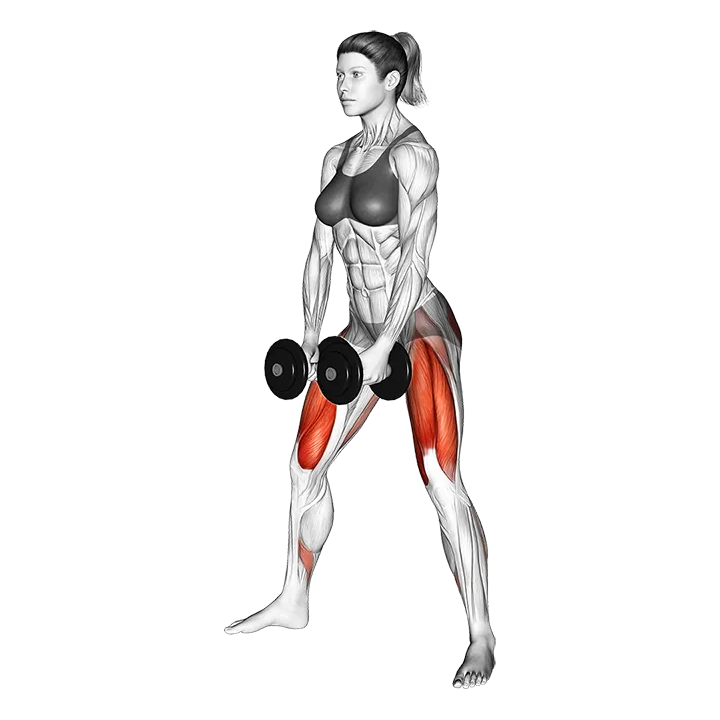 Dumbbells Sumo Squat exercise animation (Female)
