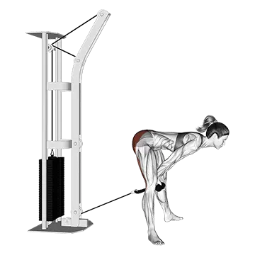 Cable Straight Legs Pull Through (with rope)