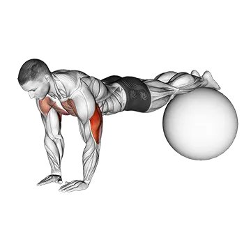 Narrow Push-Up on Exercise Ball