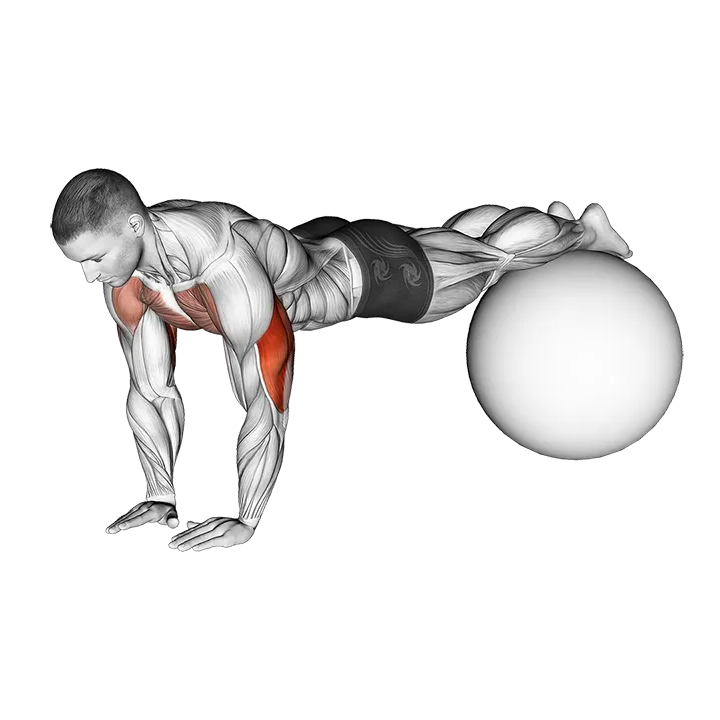 Narrow Push-Up on Exercise Ball exercise animation (Male)
