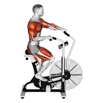 Cycle Cross Trainer