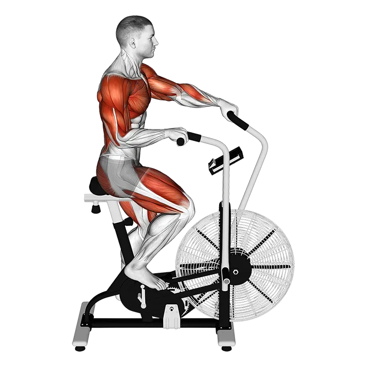 Cycle Cross Trainer exercise animation (Male)