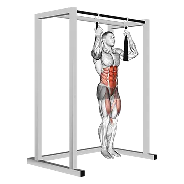Arm slingers Hanging Straight Legs