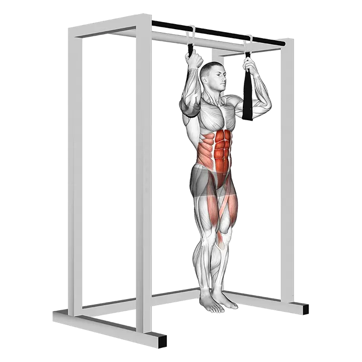 Elevación de piernas rectas colgado con balanceo de brazos exercise animation (Hombre)
