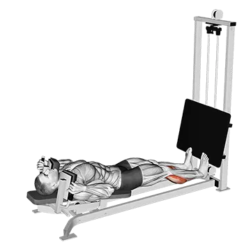 Sled Lying Calf Press