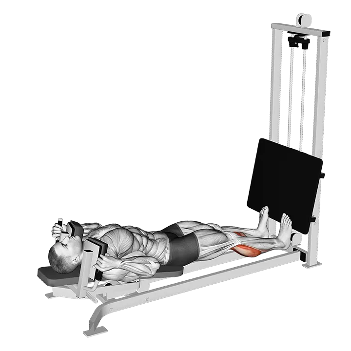 Sled Lying Calf Press exercise animation (Hombre)