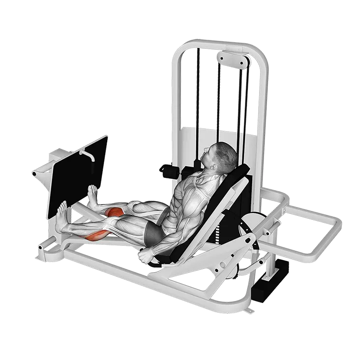 Lever Seated Calf Press exercise animation (Male)