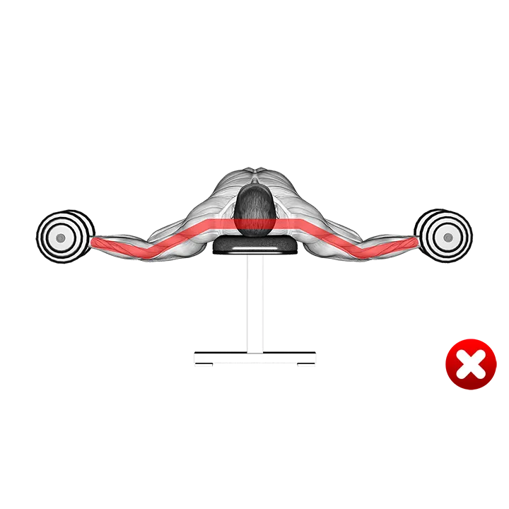 Chest Fly - Arms (WRONG-RIGHT) exercise animation (Male)