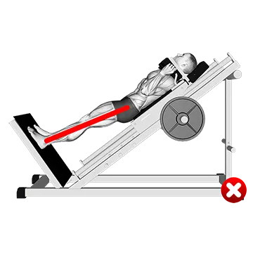 Sled Hack Squat - Legs (WRONG-RIGHT)