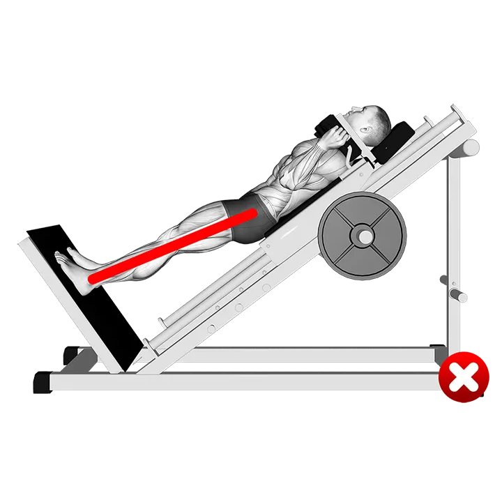Sled Hack Squat - Legs (WRONG-RIGHT) exercise animation (Male)
